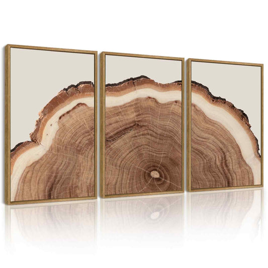 SHENIFY Tree Rings Wood Wall Art 16x24in3pcs Natural Framed Modern Retro Beige Wood Stump Nature Decor Artwork Prints Rustic farmhouse Home Office