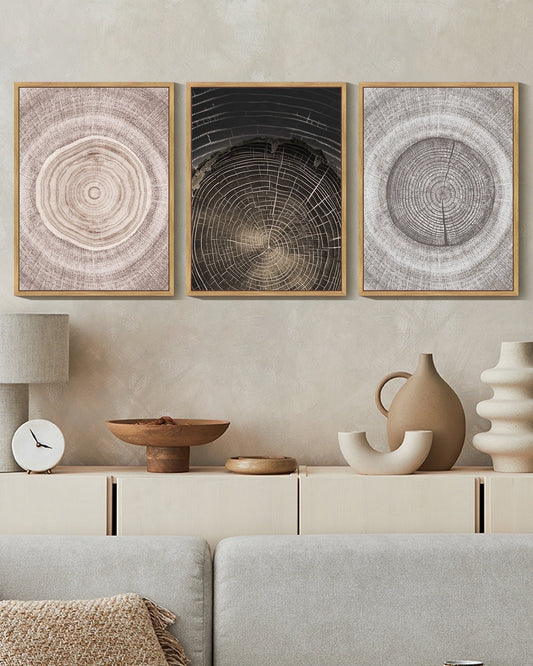 SHENIFY Vintage Wood Tree Rings Wall Art Farmhouse Rustic Canvas Paintings Living Room Bedroom Decor Nature Artwork 11x14in3pcs Natural Framed
